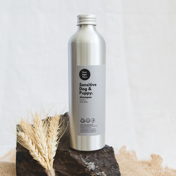 Paws Right There Sensitive Dog & Puppy Shampoo in a silver cylindrical metal bottle with a grey label, on a stone base.