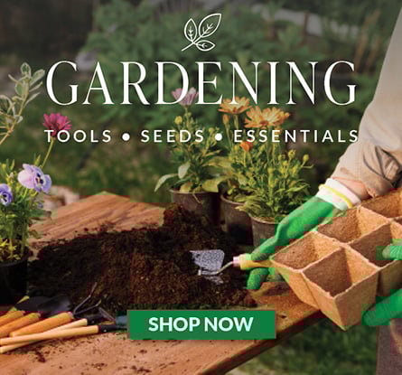 FEATURES 445x407 GARDENING3