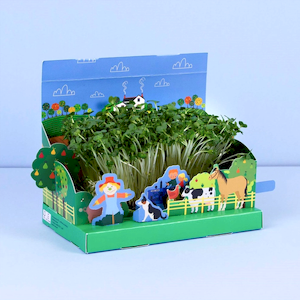 Grow Your Own Mini Farmyard Cress Garden