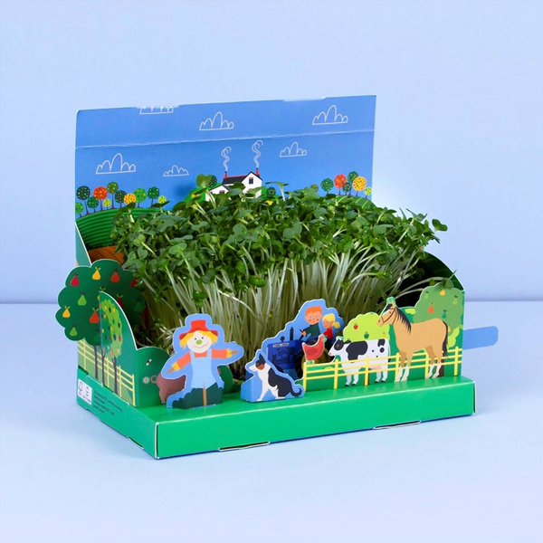 Grow Your Own Mini Farmyard Cress Garden - Image 3