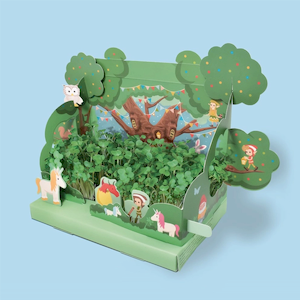 Grow Your Own Mini Magical Cress Garden
