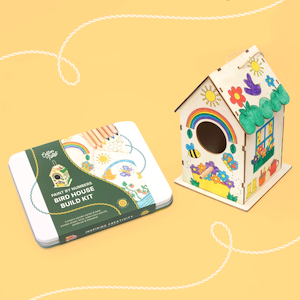Paint By Numbers Bird House Build Kit