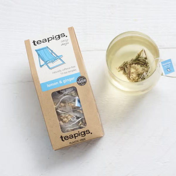 Plastic Free Lemon & Ginger Tea Bags - 15 Tea Temples
