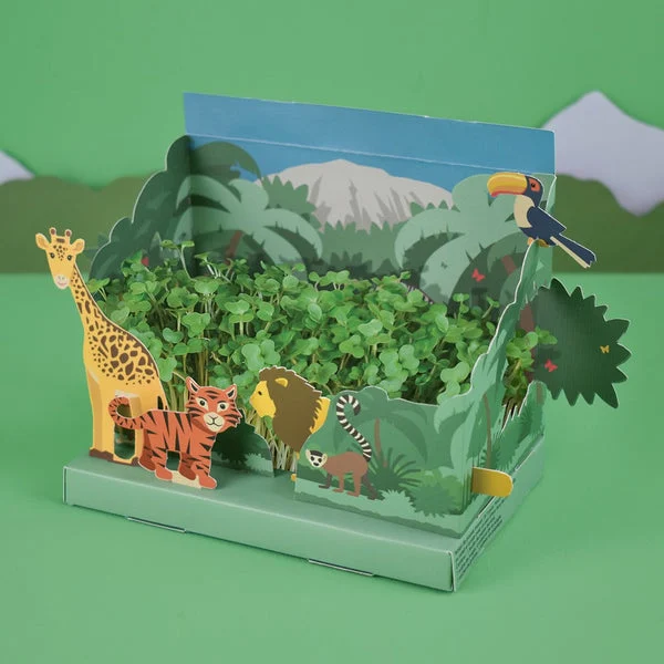 Grow Your Own Mini Jungle Garden - growing